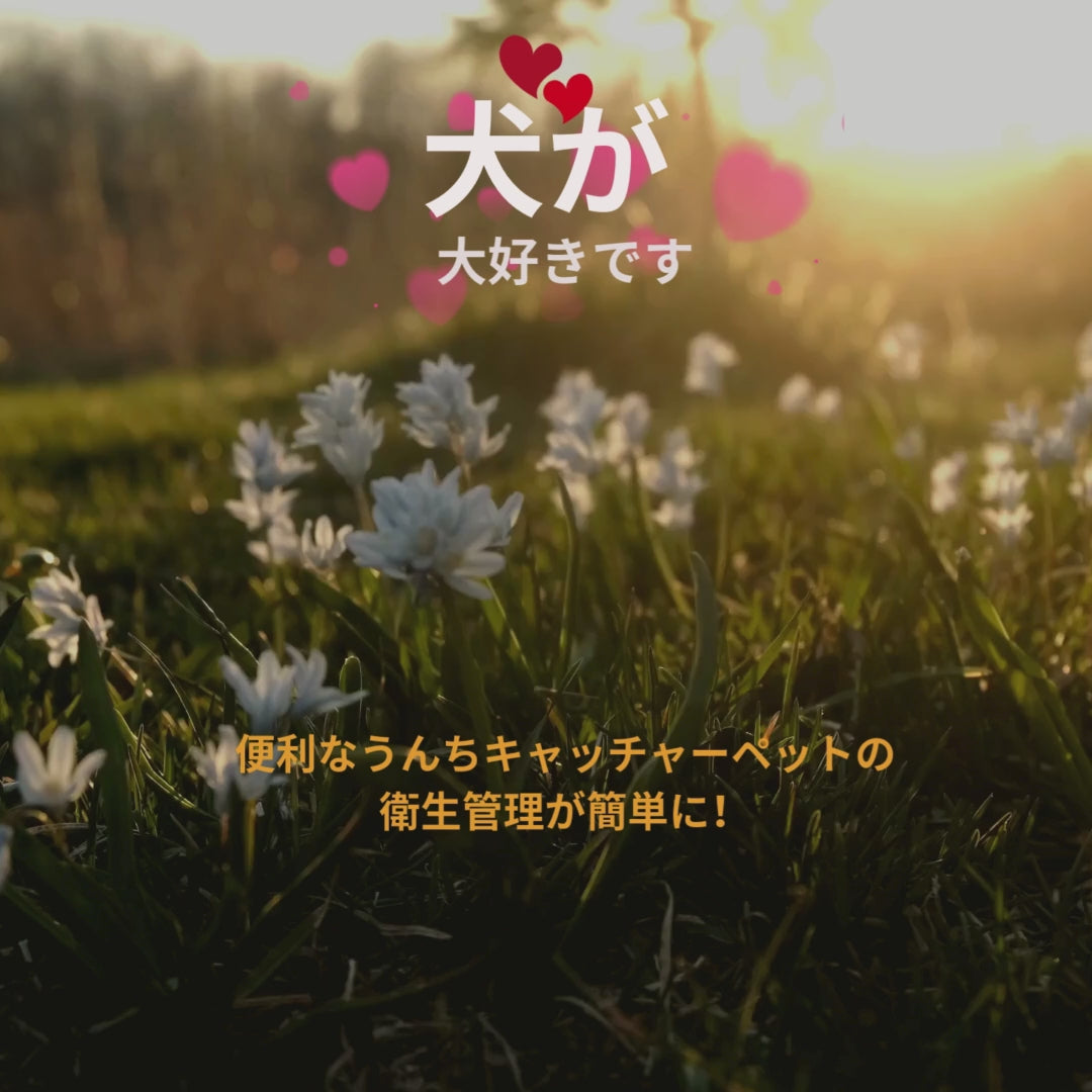 動画を読み込む: 